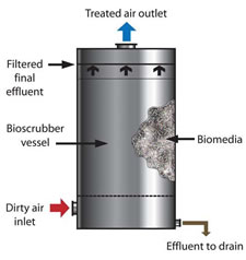 Bioscrubber diagram