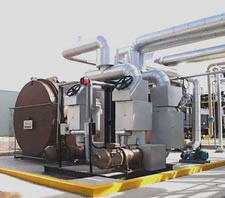 Thermal fluid heater