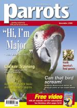 Parrots130