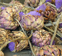 artichoke